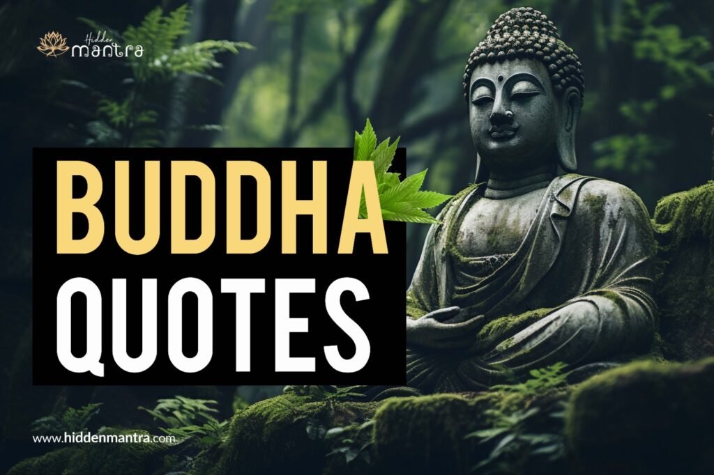 The Buddha Quotes in English