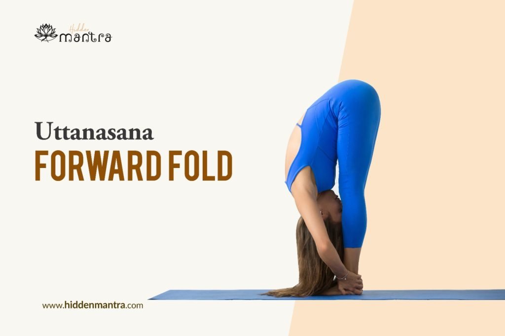 Woman doing Standing Forward Fold Pose, Intense Stretch Pose, Intense  Forward Stretch, Standing Forward Bend Pose, Hand to Leg Pose. Uttanasana.  Flat vector illustration isolated on white background 16120524 Vector Art at