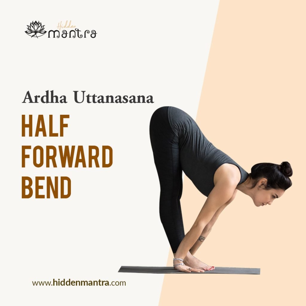 Yoga Pose: Half standing forward bend | YogaClassPlan.com