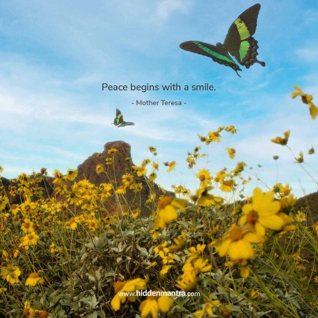 13 peace quotes in english 2025