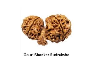 5 Types Of Rudraksha And Their Benefits | Hidden Mantra
