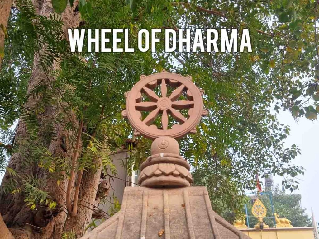 2 wheel of dharma