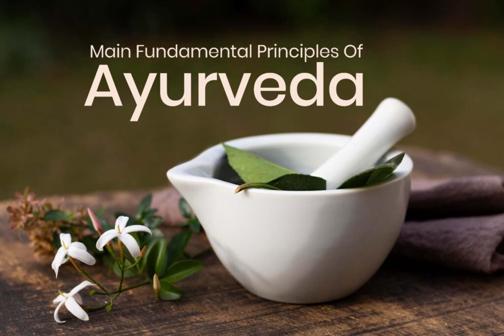 Main Fundamental Principles Of Ayurveda