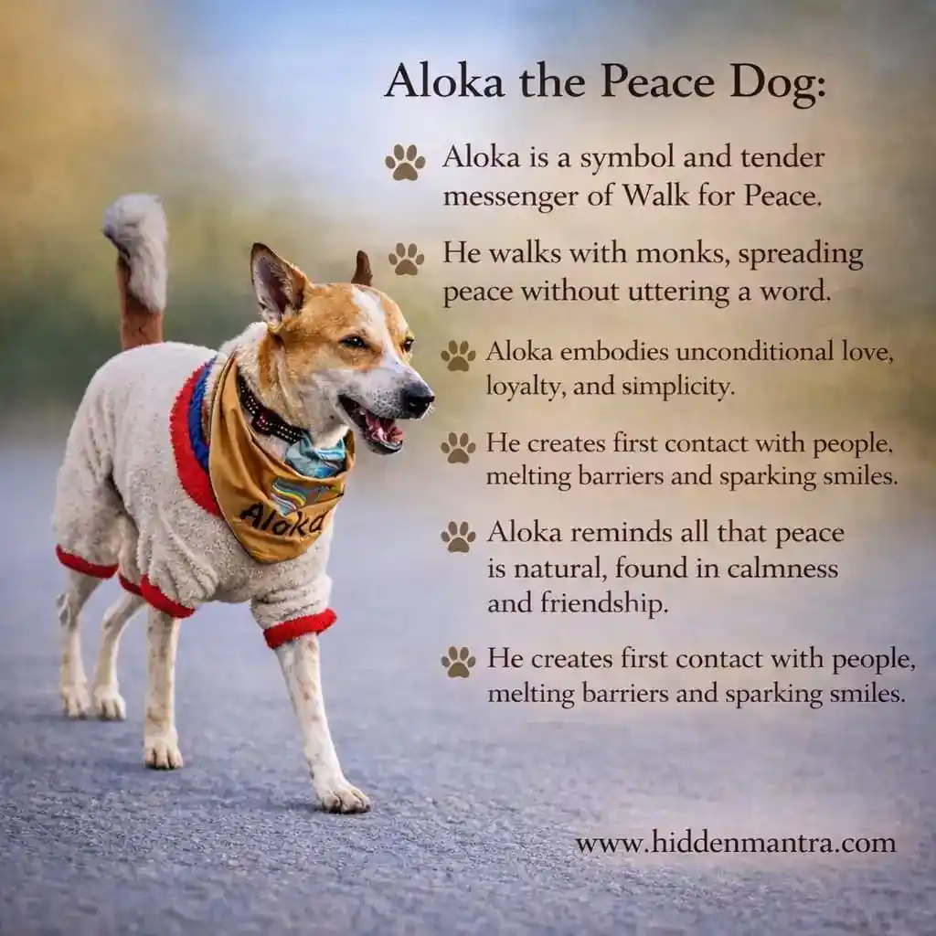 Aloka the Peace Dog walking alongside monks during the Walk for Peace, symbolizing compassion, calmness, and unity.