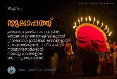 WhatsApp Image 2024-10-26 at 8.35.12 PM