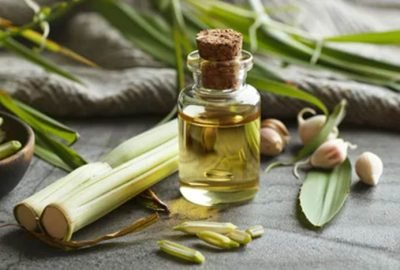 The Perfect Pairing: Yoga and Essential Oils for Mind-Body Bliss